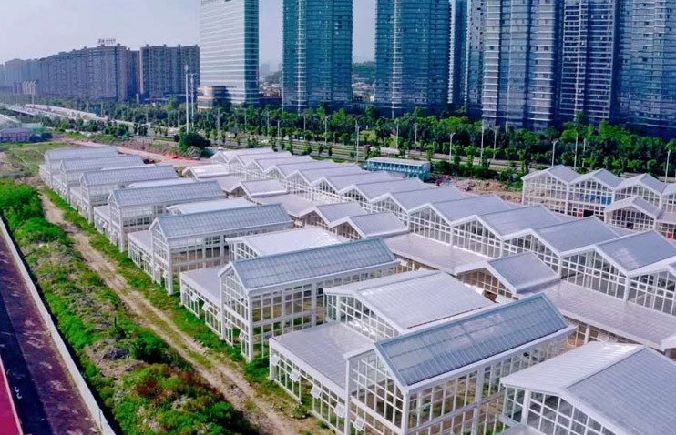 福建建新花卉产业园