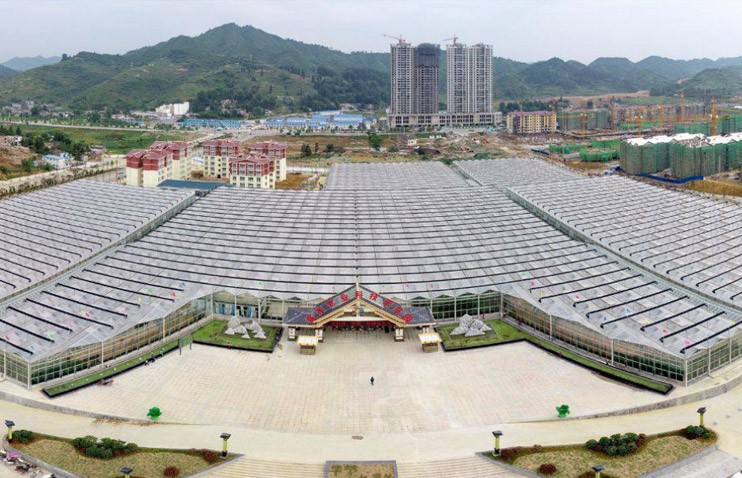 贵州毕节恒大扶贫项目生态农业温室项目